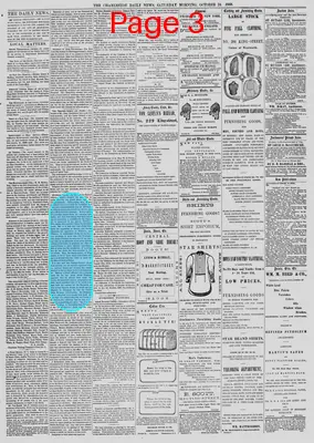 Page thumbnail for The Charleston Daily News
