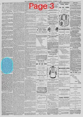 Page thumbnail for The Charleston Daily News