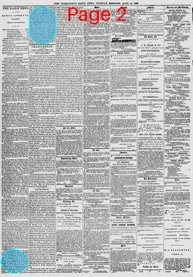 Page thumbnail for The Charleston Daily News