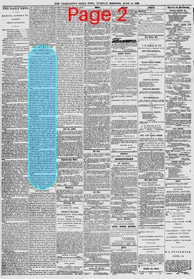Page thumbnail for The Charleston Daily News