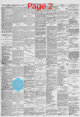 Page thumbnail for The Charleston Daily News