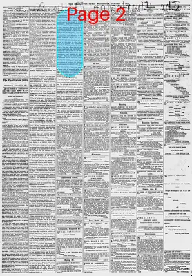 Page thumbnail for The Charleston Daily News