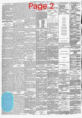 Page thumbnail for The Charleston Daily News