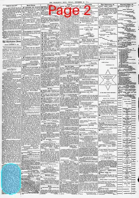 Page thumbnail for The Charleston Daily News