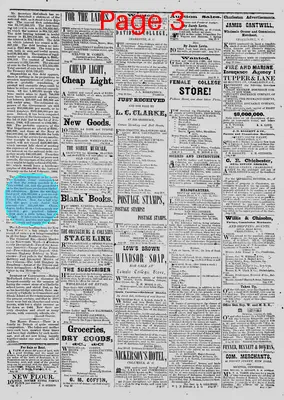 Page thumbnail for The Daily Phoenix