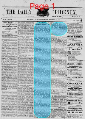 Page thumbnail for The Daily Phoenix