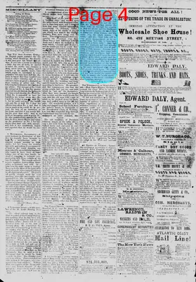 Page thumbnail for The Daily Phoenix
