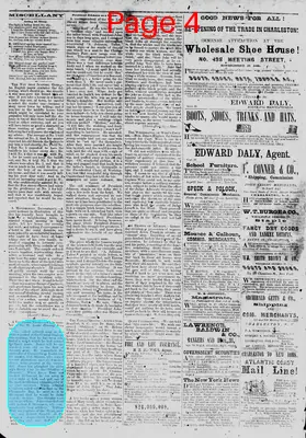 Page thumbnail for The Daily Phoenix