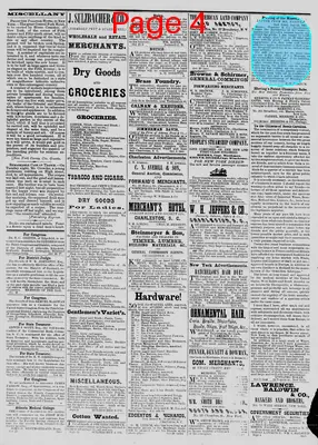 Page thumbnail for The Daily Phoenix