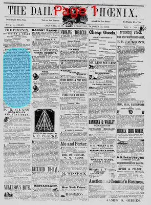 Page thumbnail for The Daily Phoenix