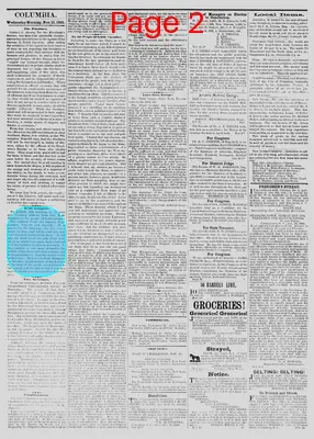 Page thumbnail for The Daily Phoenix