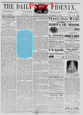 Page thumbnail for The Daily Phoenix