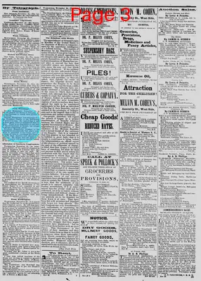 Page thumbnail for The Daily Phoenix