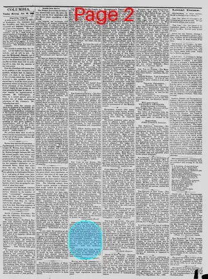Page thumbnail for The Daily Phoenix