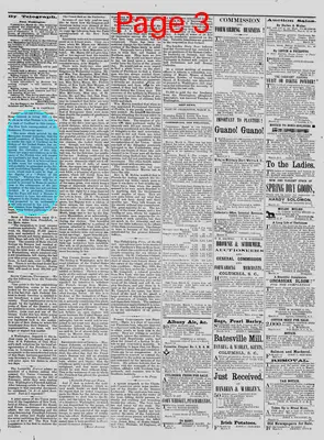 Page thumbnail for The Daily Phoenix