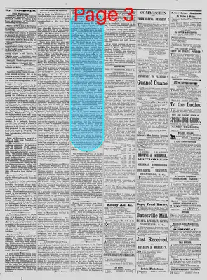 Page thumbnail for The Daily Phoenix