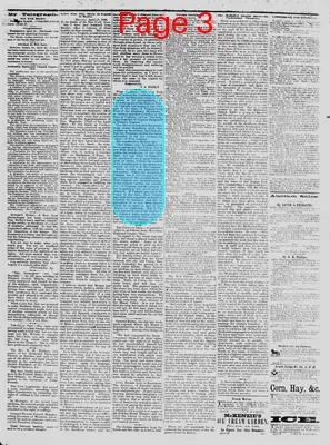 Page thumbnail for The Daily Phoenix