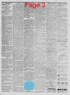 Page thumbnail for The Daily Phoenix