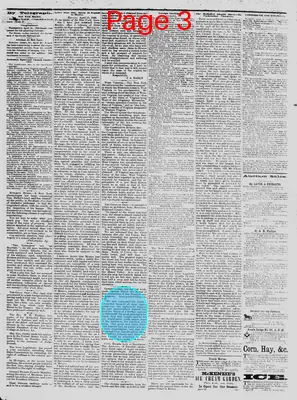 Page thumbnail for The Daily Phoenix