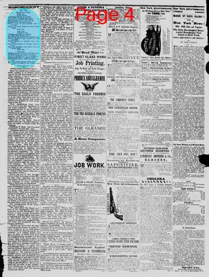Page thumbnail for The Daily Phoenix