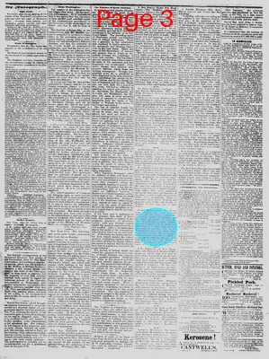 Page thumbnail for The Daily Phoenix