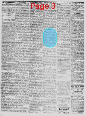 Page thumbnail for The Daily Phoenix