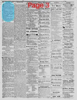 Page thumbnail for The Daily Phoenix