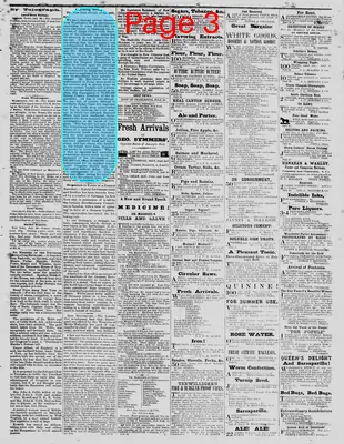 Page thumbnail for The Daily Phoenix