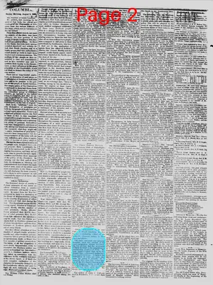 Page thumbnail for The Daily Phoenix
