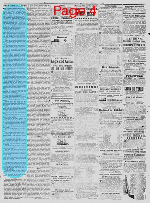 Page thumbnail for The Daily Phoenix