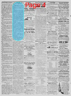 Page thumbnail for The Daily Phoenix