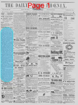 Page thumbnail for The Daily Phoenix
