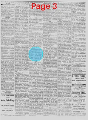 Page thumbnail for The Daily Phoenix