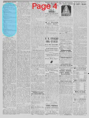 Page thumbnail for The Daily Phoenix