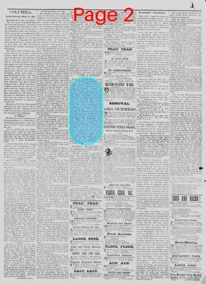 Page thumbnail for The Daily Phoenix