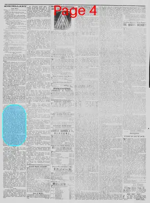 Page thumbnail for The Daily Phoenix