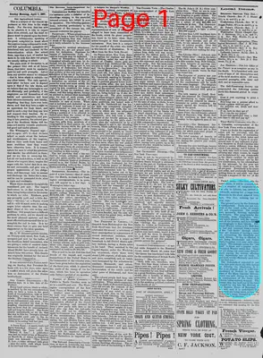 Page thumbnail for The Daily Phoenix