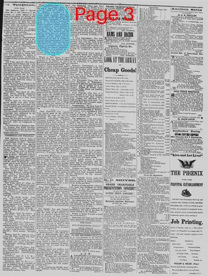 Page thumbnail for The Daily Phoenix