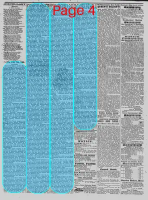 Page thumbnail for The Daily Phoenix