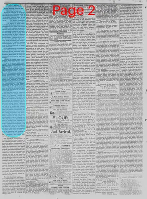 Page thumbnail for The Daily Phoenix