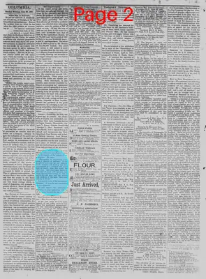 Page thumbnail for The Daily Phoenix