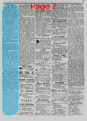 Page thumbnail for The Daily Phoenix