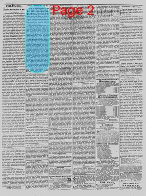 Page thumbnail for The Daily Phoenix