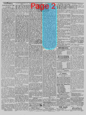 Page thumbnail for The Daily Phoenix