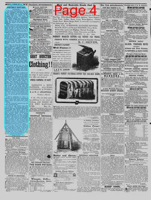 Page thumbnail for The Daily Phoenix