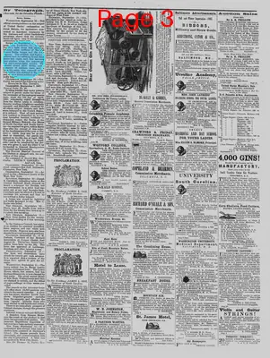 Page thumbnail for The Daily Phoenix
