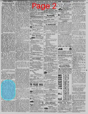 Page thumbnail for The Daily Phoenix