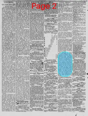 Page thumbnail for The Daily Phoenix
