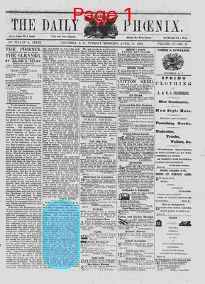 Page thumbnail for The Daily Phoenix