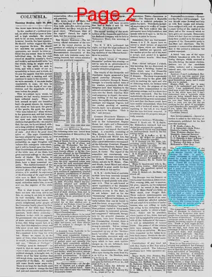 Page thumbnail for The Daily Phoenix
